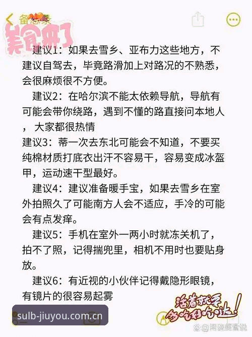 九游体育平台替代站使用详解：从乐动迁移到全新启程版本的亲历体验